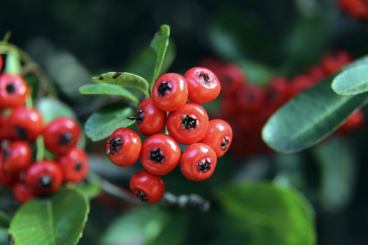 备受关注的 备受关注的