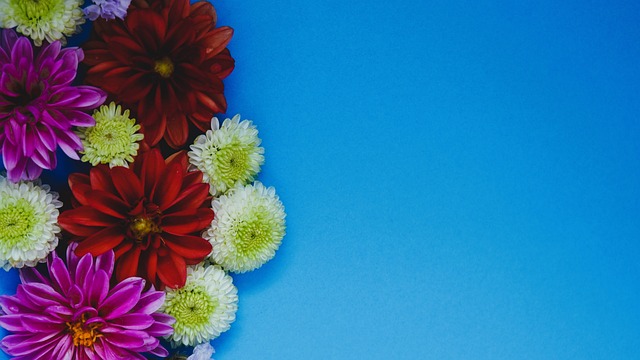 多特在排兵 多特在排兵