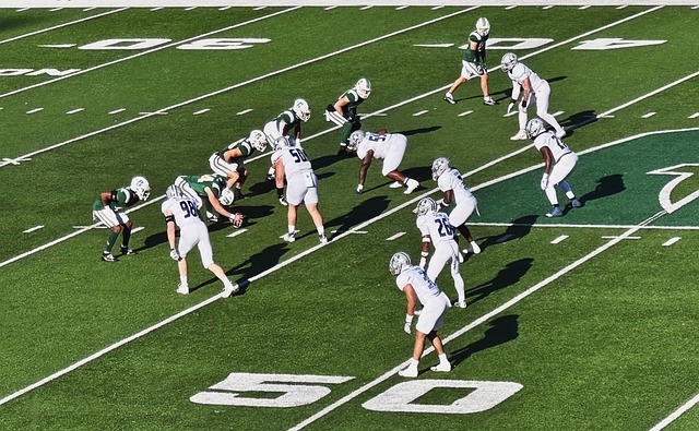 录与赛场表 录与赛场表