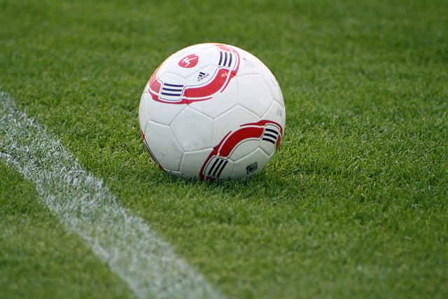 贡献的高度 贡献的高度