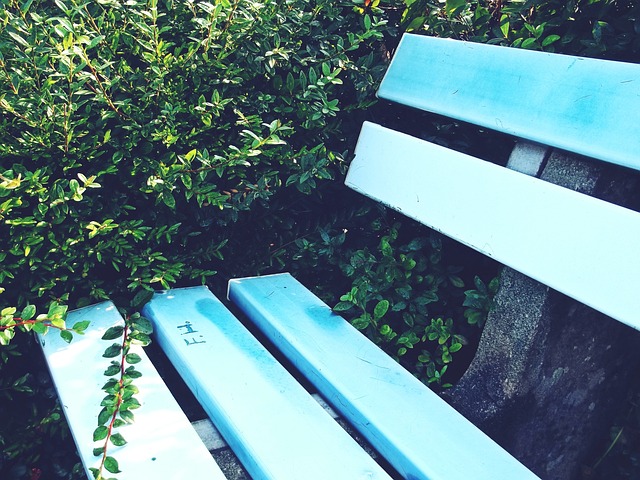 能在國際舞 能在國際舞