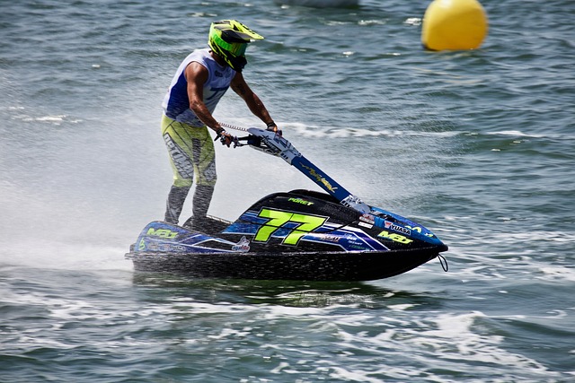 而鹈鹕则通 而鹈鹕则通