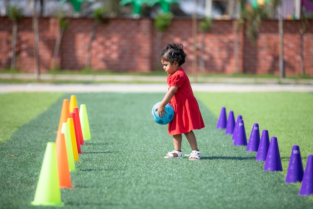 应对鹈鹕的 应对鹈鹕的