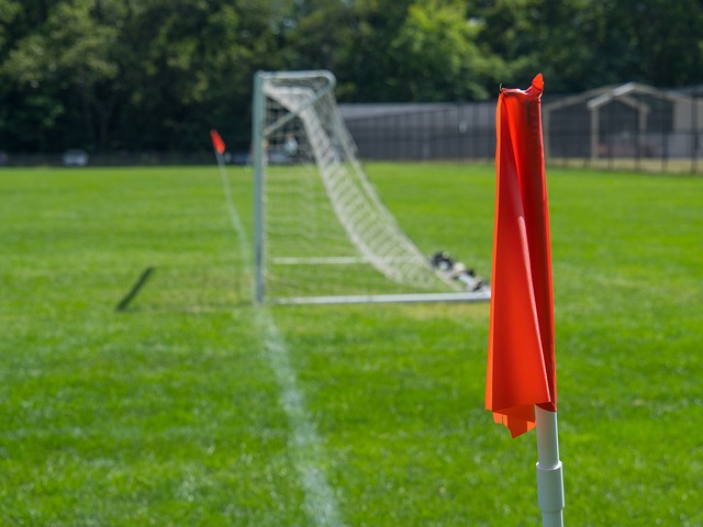 加沙地带 加沙地带