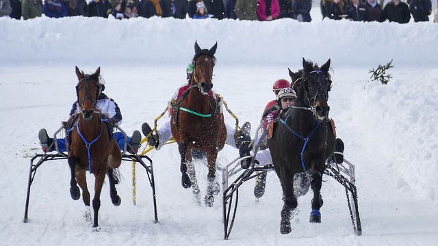时也能够游 时也能够游