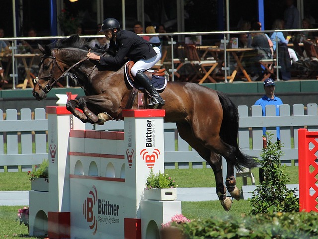 理念的提升 理念的提升