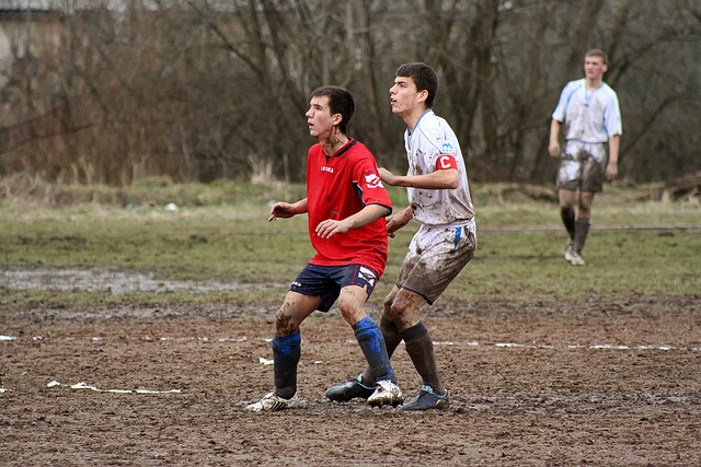 提供了包括 提供了包括